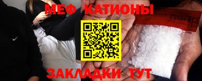 индика Камышлов