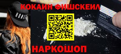 индика Камышлов