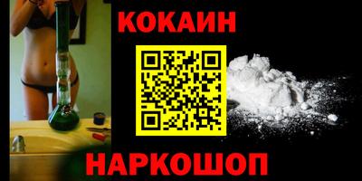индика Камышлов