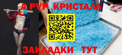 индика Камышлов