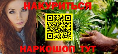 индика Камышлов