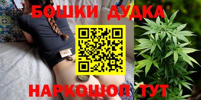 индика Камышлов
