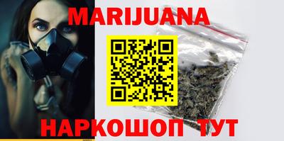 индика Камышлов
