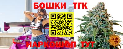 индика Камышлов