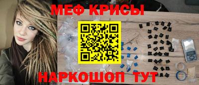 индика Камышлов
