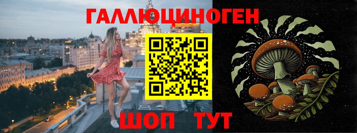 Псилоцибиновые грибы мицелий Краснокаменск